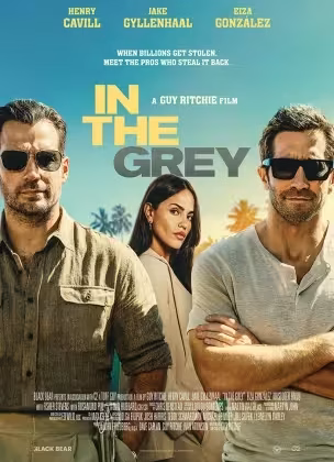 In the Grey (2026) (2026) Review – Full Analysis & Summary