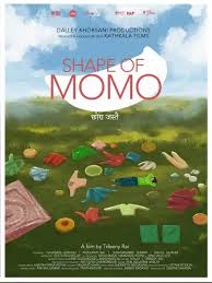 Watch, Stream & Review: Shape of Momo (2026) Movie Explained